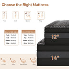 12/14 Inch Queen Size Mattress, King Size Mattress, Full Size Mattress, Twin Mattress in a Box with Memory Foam And Individual Pocket Springs, Motion Isolation, Pressure Relief, Medium Firm Feel, Cool And Comfortable Sleep, Edge